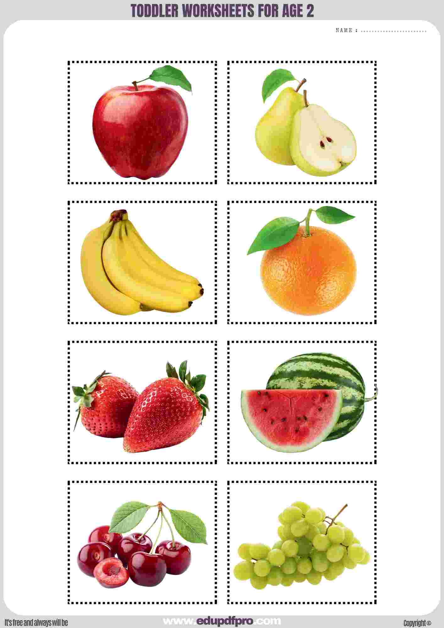 2 Year Olds Worksheets