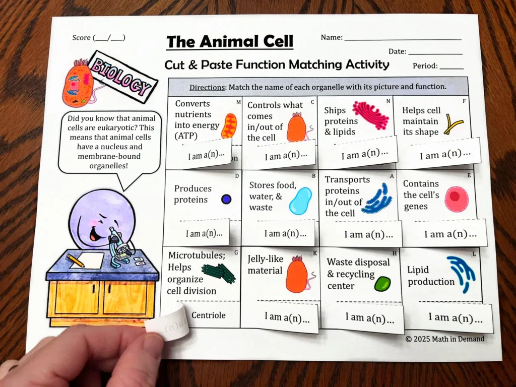Animal And Plant Cell Cut Paste Matching Activities 1