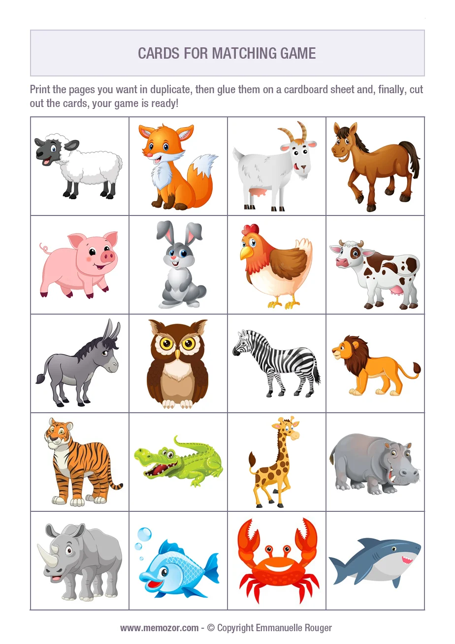 Animals Cards