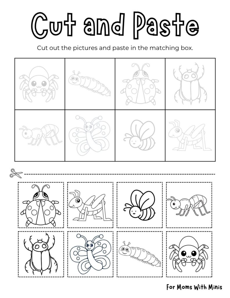Bug Themed Cut And Paste Bug Themed Cut And Paste
