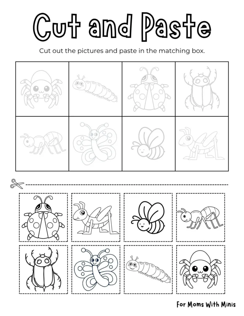 Bug Themed Cut And Paste Bug Themed Cut And Paste