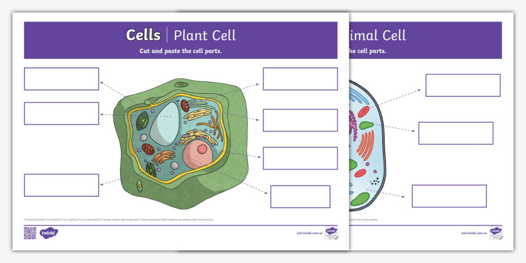 Cell Parts Cut Outs T 1727346143