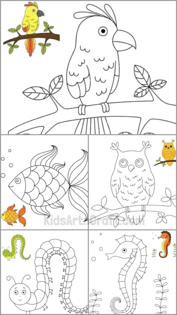 Explore Creativity With Free Printable Coloring Pages For Kids Explore Creativity With Free Printable Coloring Pages For Kids