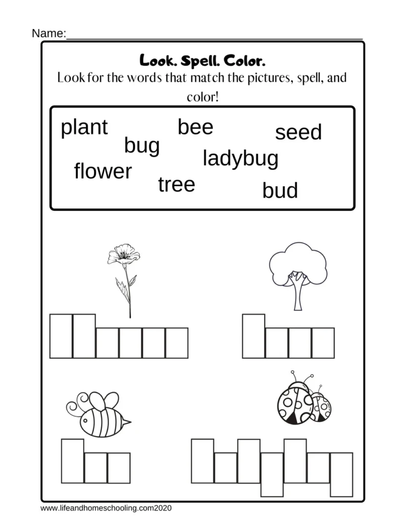 Kindergarten Spelling Worksheet Kindergarten Spelling Worksheet