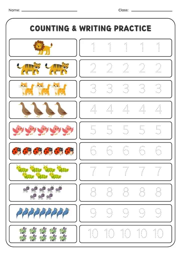 Preschool