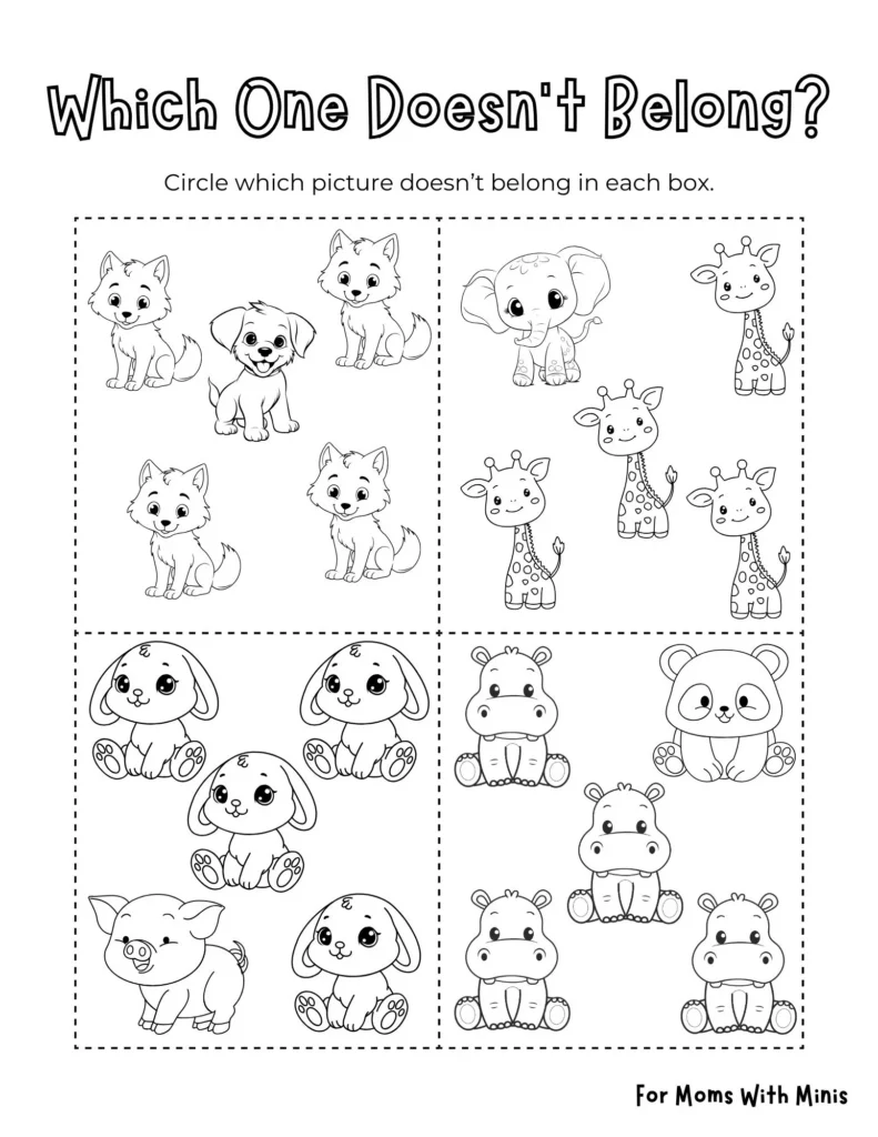 Which Baby Animal Doesnt Belong Which Baby Animal Doesnt Belong